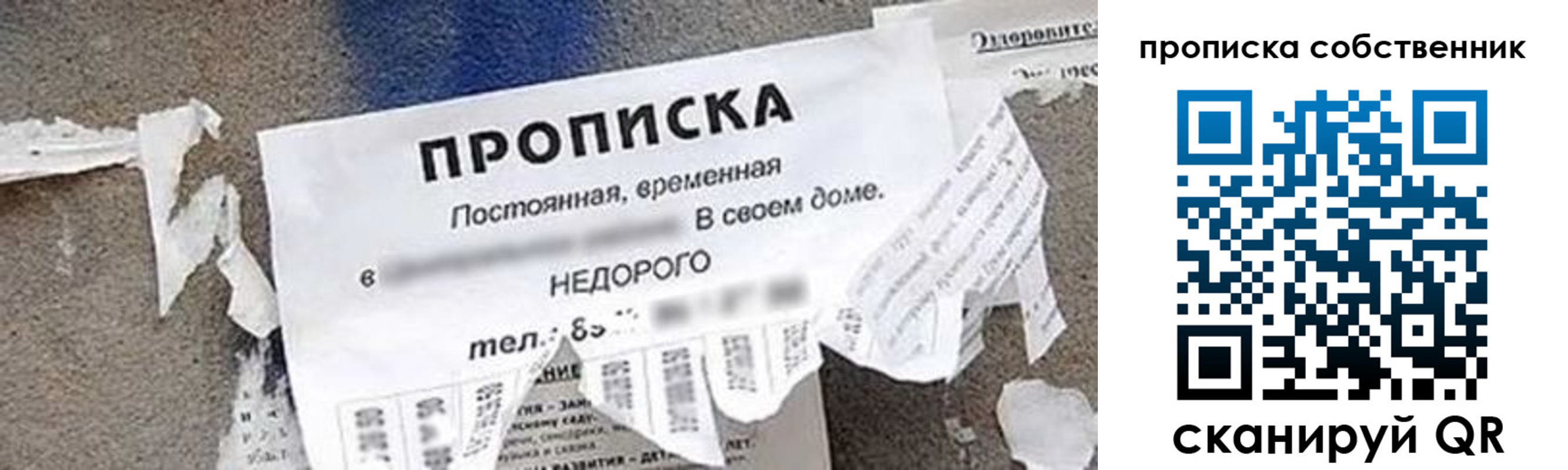 прописка поиск в Благовещенске